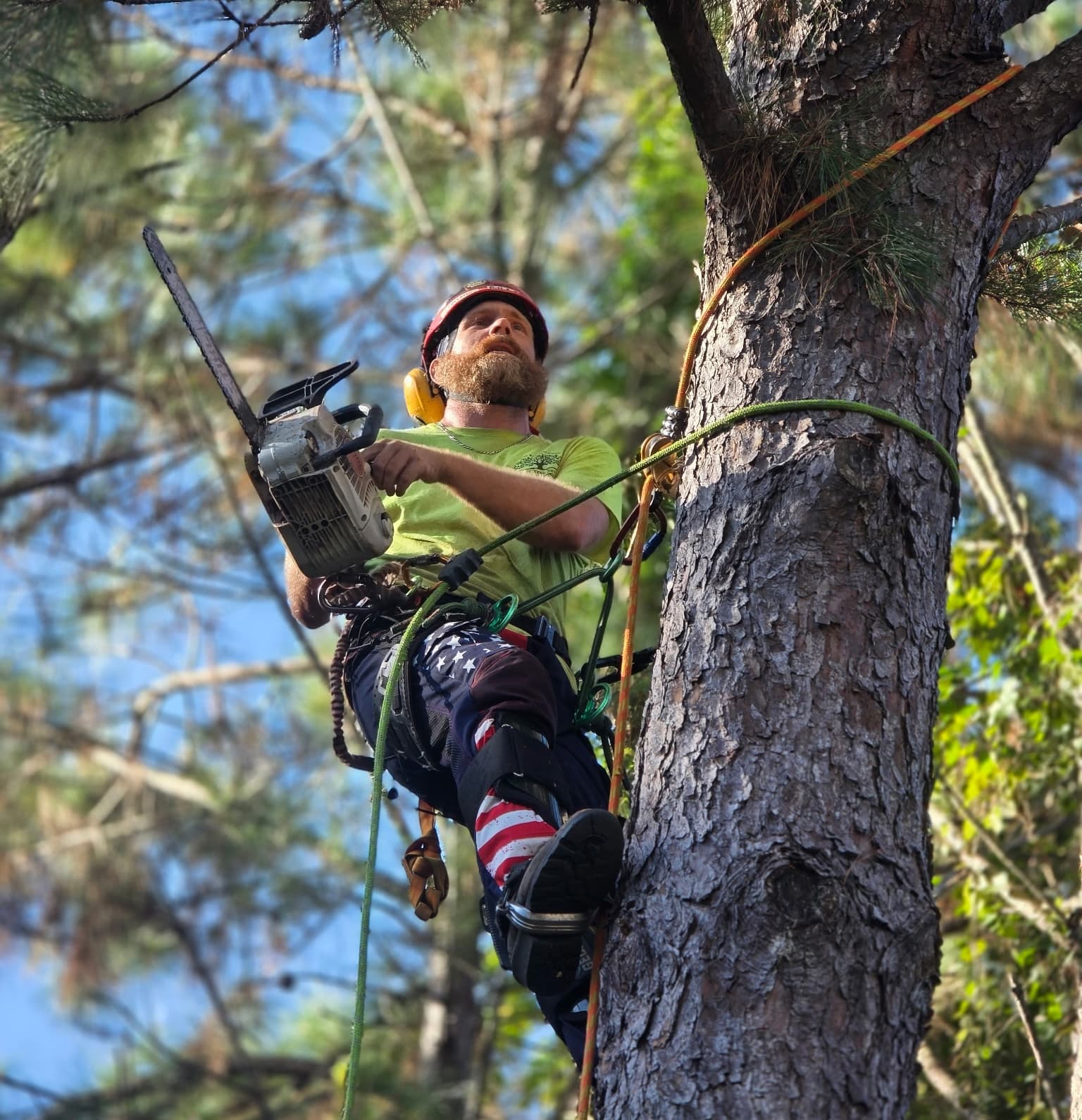 Tree services