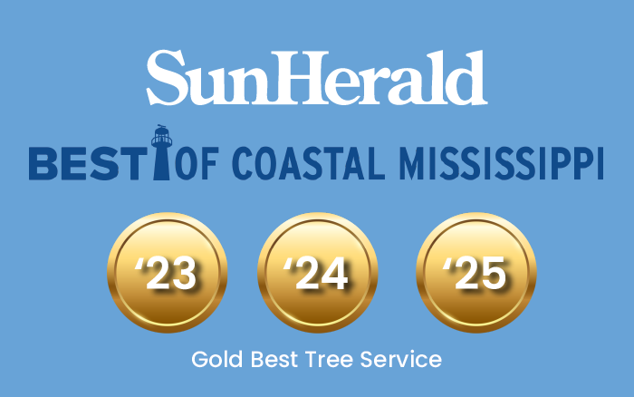 Sunherald Best of MS 2023, 2024, 2025