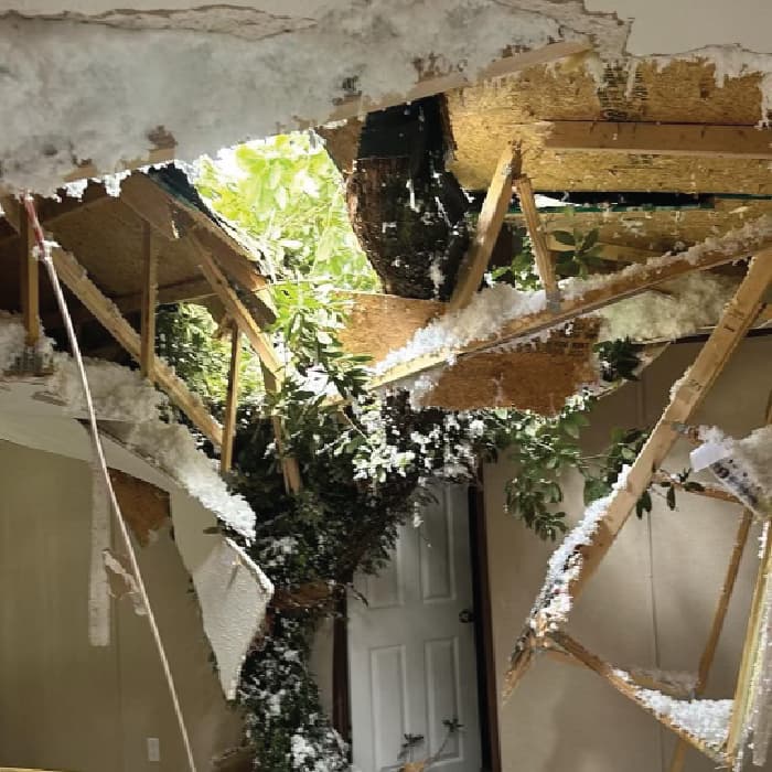 Storm damage cleanup in Waveland