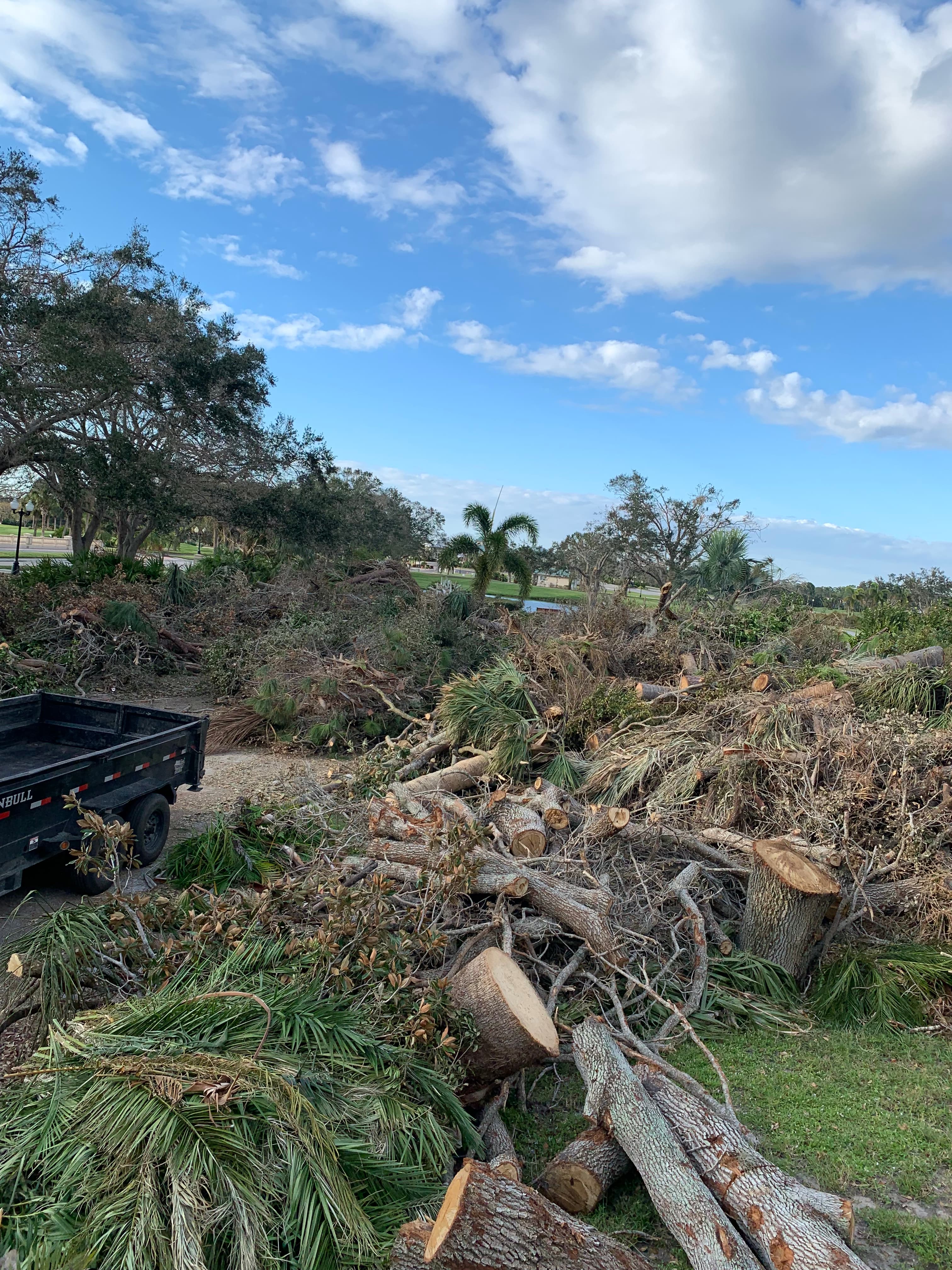 Professional tree services in Pass Christian