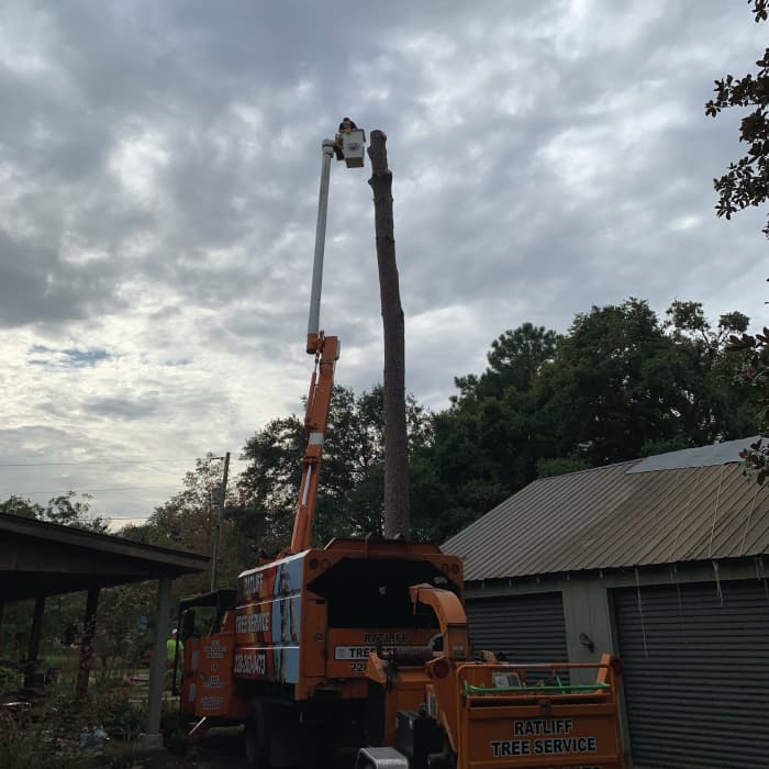 Tree service in Bay St. Louis, MS