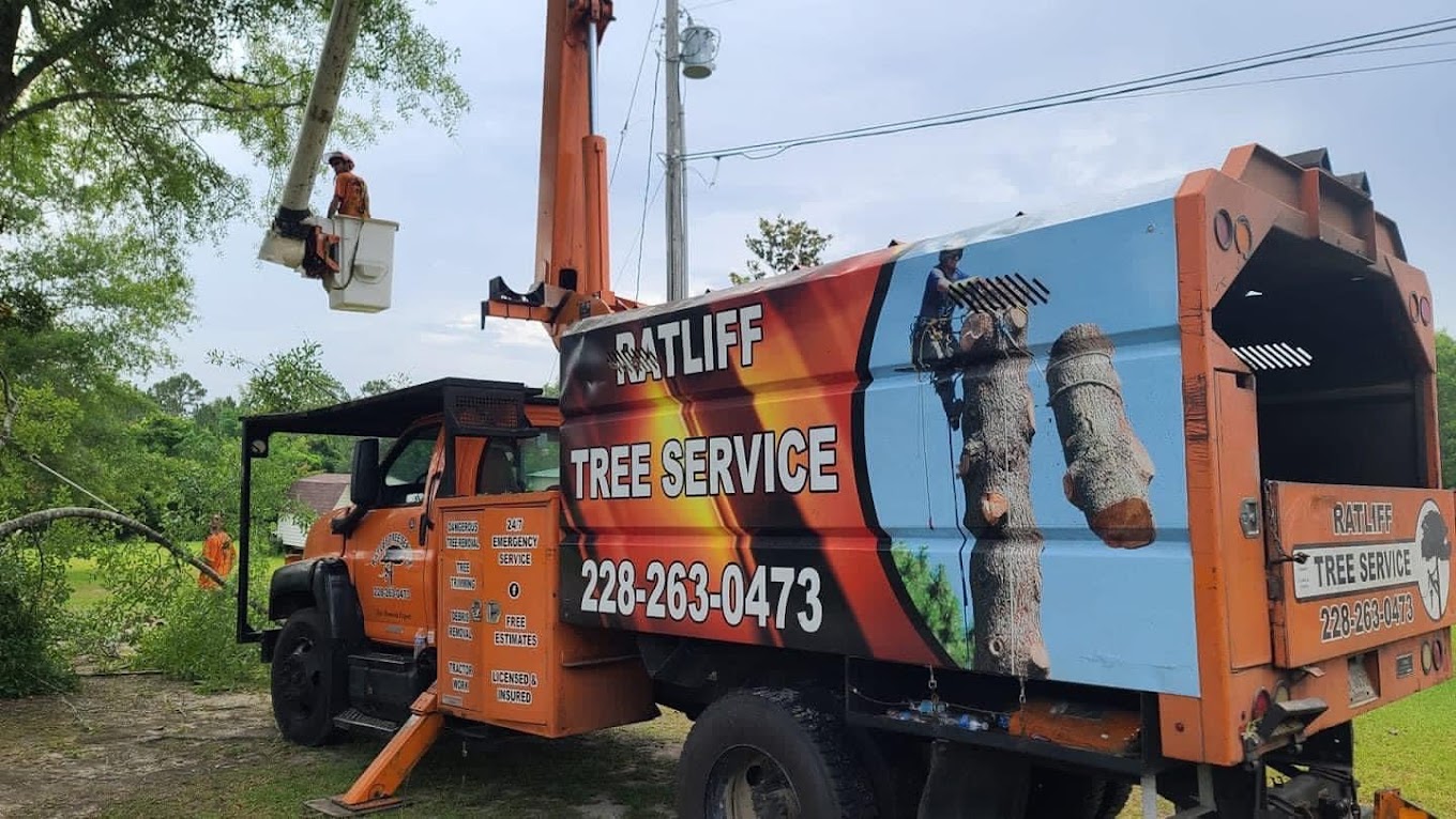 Tree care services Bay St. Louis